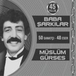 album image Adını Sen Koy 45 Yıllık Baba Şarkılar (50 Sanatçı - 48 Eser)
