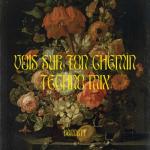 album image Vois Sur Ton Chemin (TECHNO REMIX Vois sur ton chemin (Techno Mix)