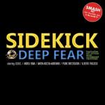 album image Take Me Away (Original Mix) Deep Fear (The Remixes)