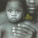 album image Born In Africa (Pierre J's Radio Remix) Born in Africa
