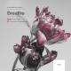 Alexander Bollinger - Breathe