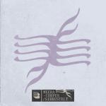 album image Corpus (Original Mix) 