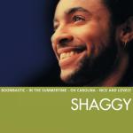 album image Boombastic (Sting Remix) Essential