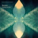 album image Towers (Ft. Szjerdene) The North Borders