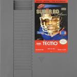 poster Bumps and Bruises Super Tecmo Bo