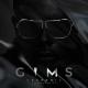 GIMS - Caméléon