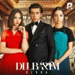 poster Dilbarim Dilbarim